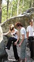 2011-05-01_11-16-03_Bleau_Diplodocus