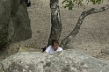 2004_07_02_Fontainebleau_0010