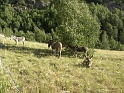 2004_08_09_Stage_montagne_paysages_0075