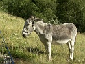 2004_08_09_Stage_montagne_paysages_0076