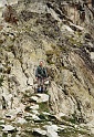 2004_08_09_Stage_montagne_0023
