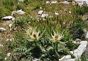 2004_08_09_Stage_montagne_0024
