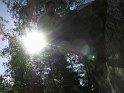 2004_09_19_Fontainebleau_0037