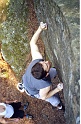 2005_04_17_hauteroche_bleau_0003