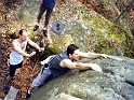 2005_04_17_hauteroche_bleau_0011