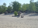 2005_05_01_Fontainebleau_0002