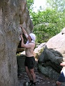 2005-06-26_13-22-39_sortie_fontainebleau-chien