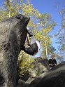 2005-10-23_17-03-00_sortie_fontainebleau-apremont