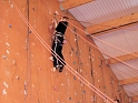 2006-01-29_12-41-29_chelles_everest