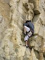 2006-03-19_16-02-39_st_maximin