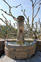 2007-04-18_16-16-54_montmirail