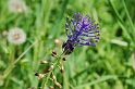 2007-04-18_16-28-32_montmirail