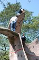 2007-04-15_12-19-34_montmirail