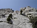 2007-04-16_14-16-18_montmirail