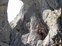 2007-04-17_11-52-18_montmirail