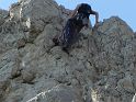 2007-04-17_16-10-18_montmirail