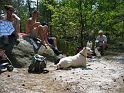 2007-04-29_13-21-53_fontainebleau