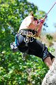 2007-09-30_13-40-50_vieux_chateau