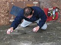 2008-03-30_11-04-44_Bleau_Canche-aux-mercier