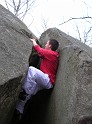 2008-03-30_12-48-06_Bleau_Canche-aux-mercier