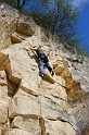 2008-04-13_11-54-14_st_maximin
