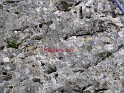 2008-04-21_13-57-25_001_ardeche