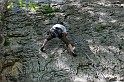 2008-04-24_16-48-00_001_ardeche