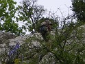 2008-04-25_14-36-59_001_ardeche