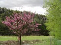 2008-04-22_11-55-37_001_ardeche