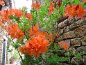 2008-04-22_14-28-39_001_ardeche