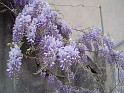 2008-04-22_14-38-15_001_ardeche