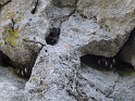 2008-04-25_11-20-06_001_ardeche