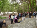 2008-05-18_10-39-29_001_Bleau_la-canche-aux-merciers