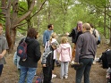2008-05-18_10-39-53_001_Bleau_la-canche-aux-merciers