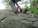 2008-05-18_11-21-44_001_Bleau_la-canche-aux-merciers