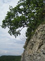 2008-06-14_12-31-04_001_WE_Hauteroche