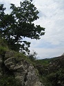2008-06-14_12-31-26_001_WE_Hauteroche