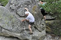 2008-06-29_11-30-44_001_fontainebleau_elephant