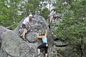 2008-06-29_11-31-34_001_fontainebleau_elephant