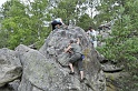 2008-06-29_11-32-26_001_fontainebleau_elephant