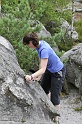 2008-06-29_11-40-43_001_fontainebleau_elephant