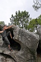 2008-06-29_12-00-39_001_fontainebleau_elephant