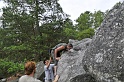 2008-06-29_12-02-09_001_fontainebleau_elephant
