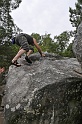2008-06-29_12-02-49_001_fontainebleau_elephant