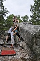 2008-06-29_12-07-20_001_fontainebleau_elephant