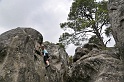 2008-06-29_13-09-58_001_fontainebleau_elephant