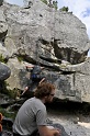 2008-06-29_14-42-36_001_fontainebleau_elephant