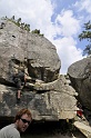 2008-06-29_14-42-43_001_fontainebleau_elephant