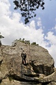 2008-06-29_14-43-15_001_fontainebleau_elephant