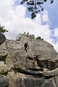 2008-06-29_14-43-36_001_fontainebleau_elephant